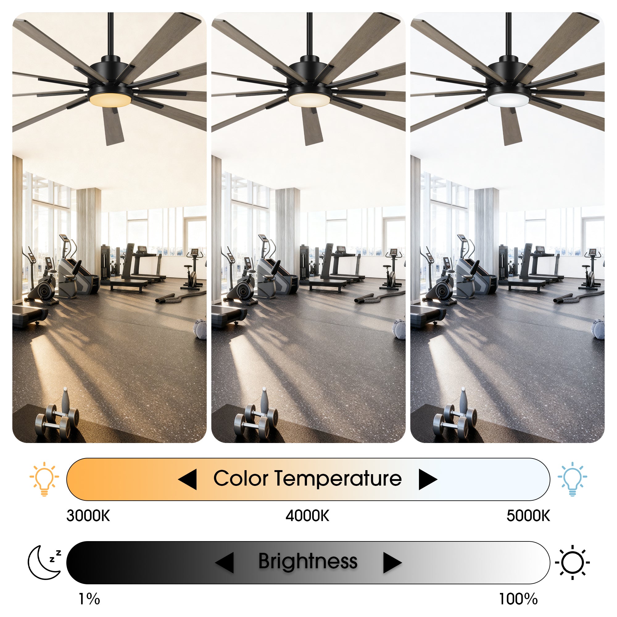 72 Inch Aries Black Downrod Mount LED Windmill Ceiling Fan with Remote Control