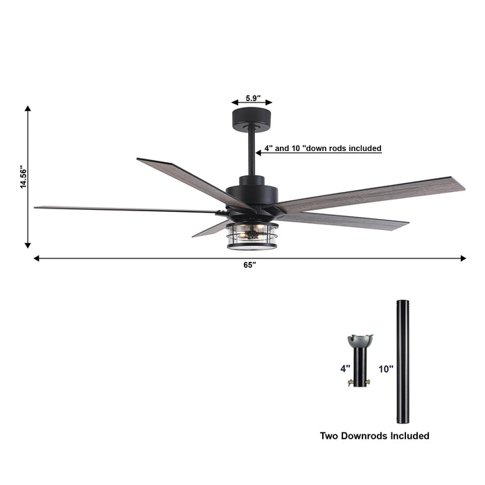 65" Modern DC Motor Downrod Mount Reversible Ceiling Fan with Lighting and Remote Control