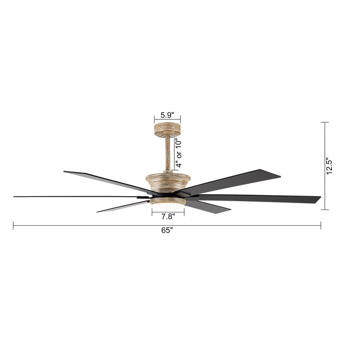 65" Amritsar Industrial Downrod Mount Reversible Ceiling Fan with LED Lighting and Remote Control