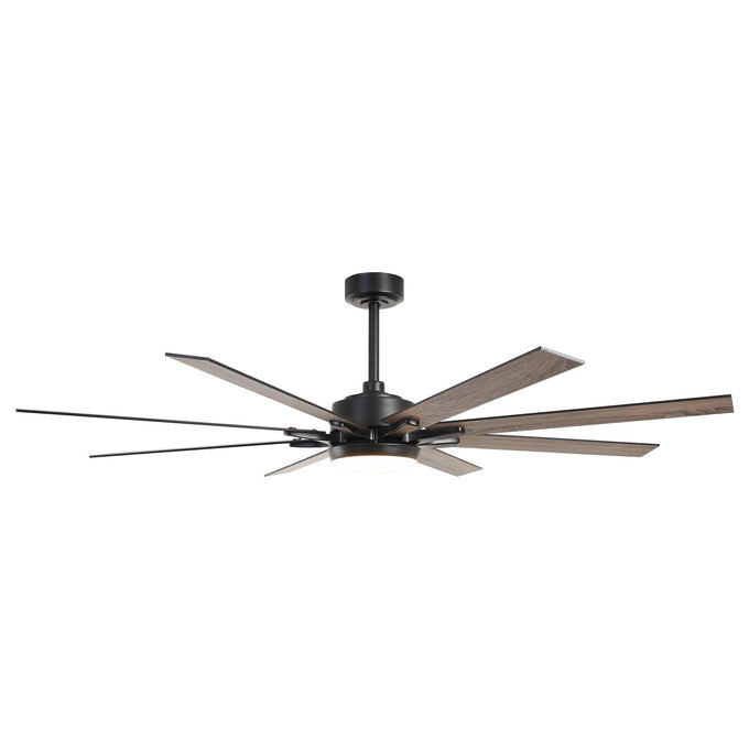 65 Inch Teresa Modern Double-sided Blades Ceiling Fan with Remote Control and LED Light