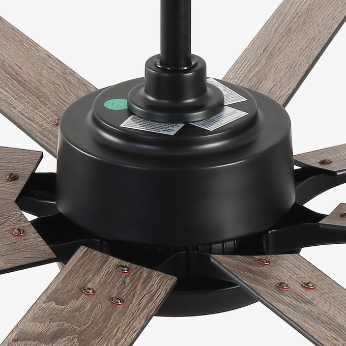 65 Inch Teresa Modern Double-sided Blades Ceiling Fan with Remote Control and LED Light