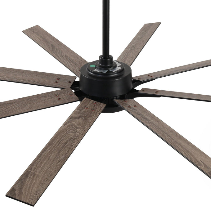 65 Inch Teresa Modern Double-sided Blades Ceiling Fan with Remote Control and LED Light