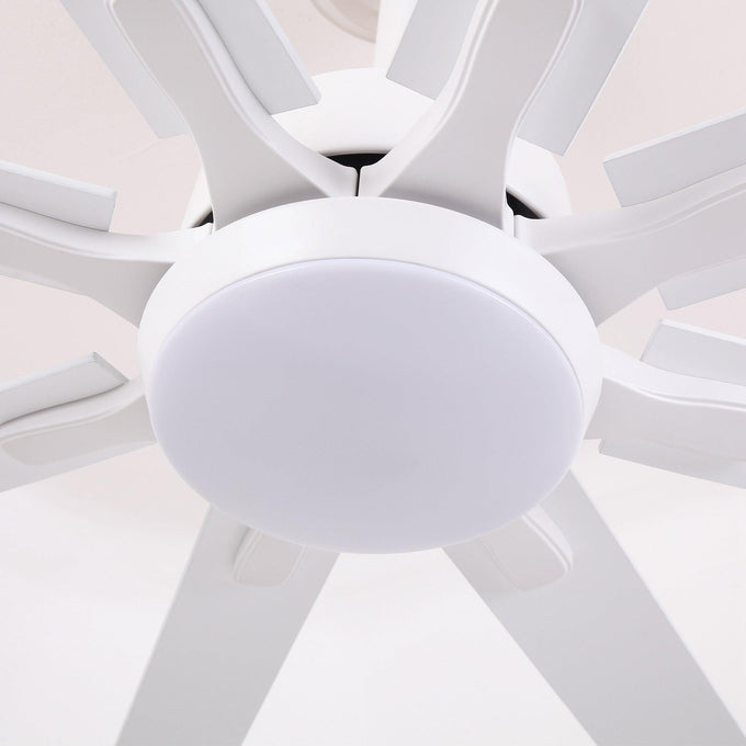 65 Inch Teresa Modern Double-sided Blades Ceiling Fan with Remote Control and LED Light