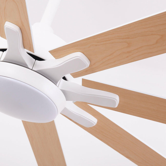65 Inch Teresa Modern Double-sided Blades Ceiling Fan with Remote Control and LED Light