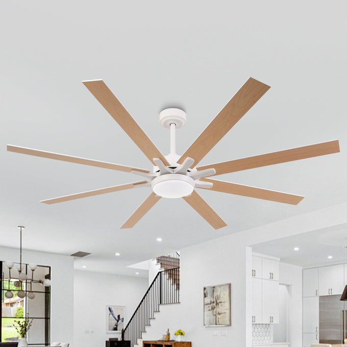 65 Inch Teresa Modern Double-sided Blades Ceiling Fan with Remote Control and LED Light