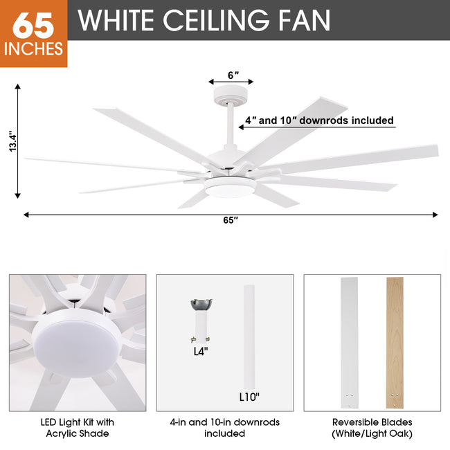 65 Inch Teresa Modern Double-sided Blades Ceiling Fan with Remote Control and LED Light