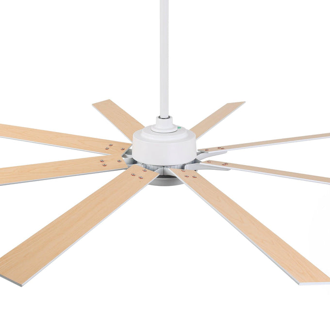65 Inch Teresa Modern Double-sided Blades Ceiling Fan with Remote Control and LED Light