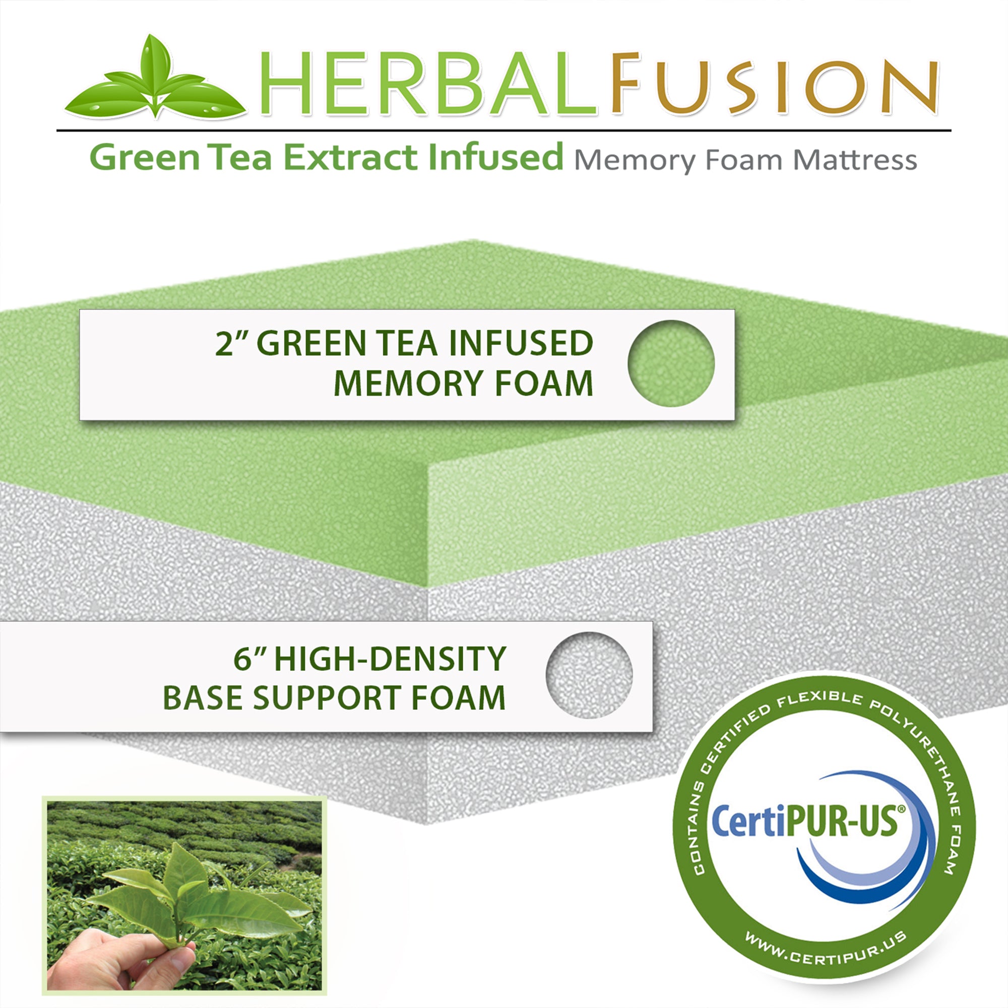 8 Inch Herbal Fusion Green Tea-Infused Polyester Memory Foam Queen Mattress