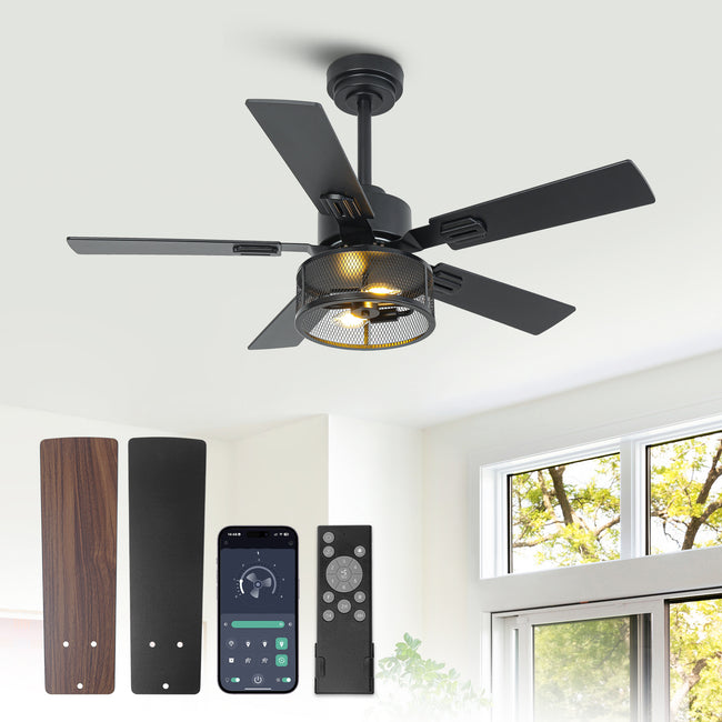Vaczon 42 Inch 52 Inch 60 Inch Eden Downrod Mount Ceiling Fan with Light and APP & Remote Control