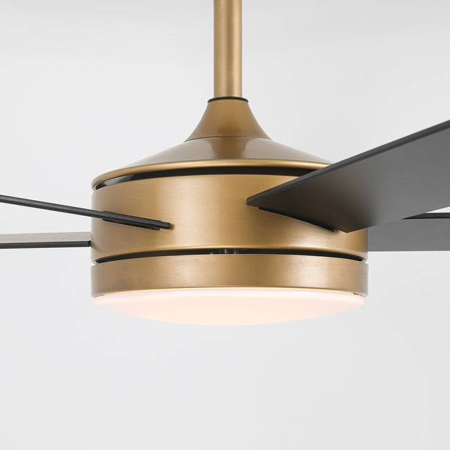 Vaczon 48 Inch Tracy Downrod Mount LED Ceiling Fan with APP & Remote Control