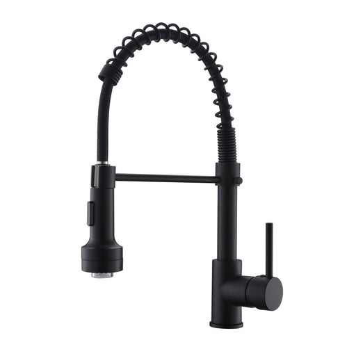 Black Kitchen Faucets Pull Down Sprayer - ParrotUncle