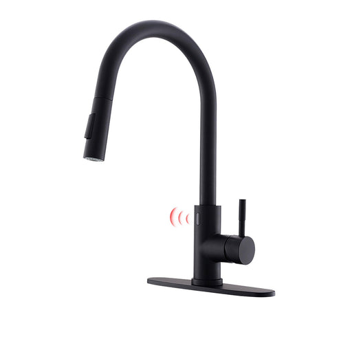 Black Kitchen Sink 1-handle Faucet with Pull Down Sprayer - ParrotUncle