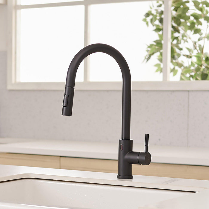 Black Kitchen Sink 1-handle Faucet with Pull Down Sprayer - ParrotUncle
