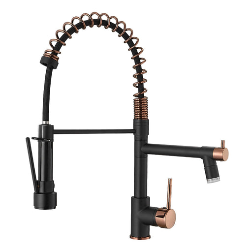 Black Pull-down Kitchen Faucet With two Spouts - ParrotUncle