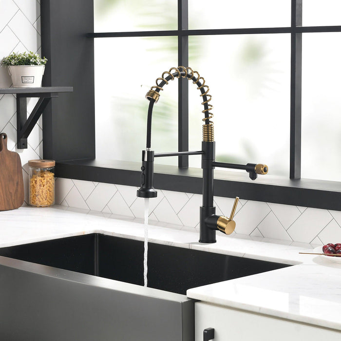 Black Pull-down Kitchen Faucet With Two Spouts - ParrotUncle