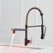 Black Pull-down Kitchen Faucet With two Spouts - ParrotUncle