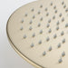 Brushed Gold Wall Mounted 2 Function Bathroom Shower Shower Set - ParrotUncle