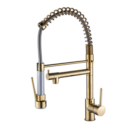Golden Contemporary Single-Handle Gooseneck Pull-Down Sprayer Kitchen Faucet - ParrotUncle