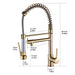 Golden Contemporary Single-Handle Gooseneck Pull-Down Sprayer Kitchen Faucet - ParrotUncle