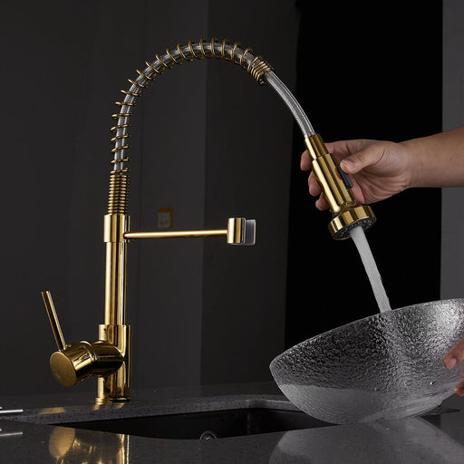 Golden Kitchen Sink 1-handle Faucet with Pull Down Sprayer - ParrotUncle