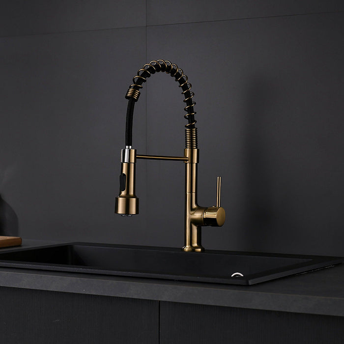 Golden Kitchen Sink Faucet with Pull Down Sprayer - ParrotUncle