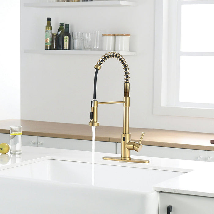 Kitchen Sink 1-handle Golden Faucet with Pull Down Sprayer - ParrotUncle