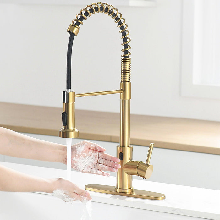 Kitchen Sink 1-handle Golden Faucet with Pull Down Sprayer - ParrotUncle