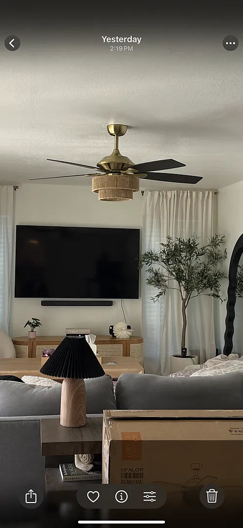 Parrot Uncle home