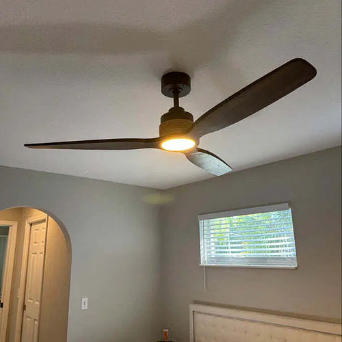 Parrot Uncle home