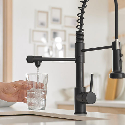 Single Handle Gooseneck Pull Down Sprayer Kitchen Faucet with Purified Water Faucet - ParrotUncle