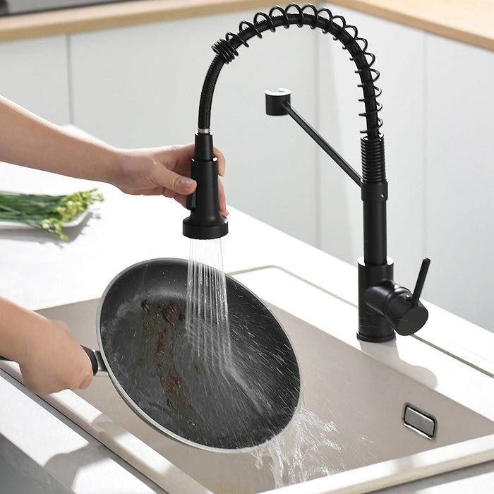 Single-Handle Kitchen Faucet Matte Black Single Handle Pull-down Filtered Kitchen Faucet - ParrotUncle