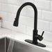 Single-Handle Kitchen Faucet Matte Black Single Handle Pull-down Filtered Kitchen Faucet with Deck Plate - ParrotUncle