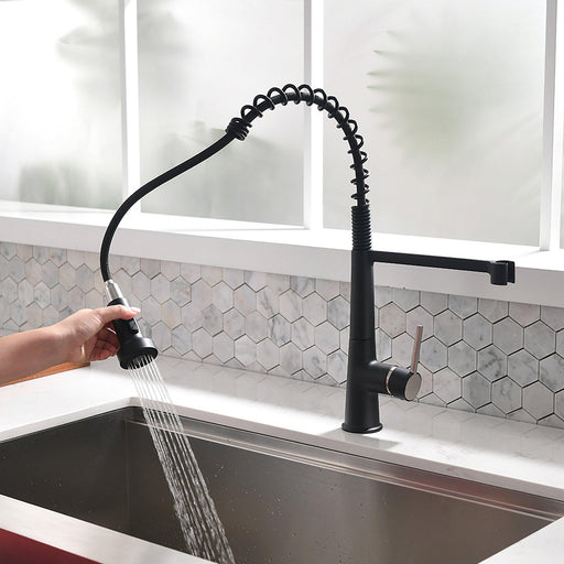 Single-Handle Kitchen Faucet With Pull Down Spout - ParrotUncle