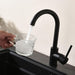 Single Handle Kitchen Sink Faucet Single Hole Modern Brass Kitchen Faucets High Arc Bar Basin Taps Matte Black - ParrotUncle