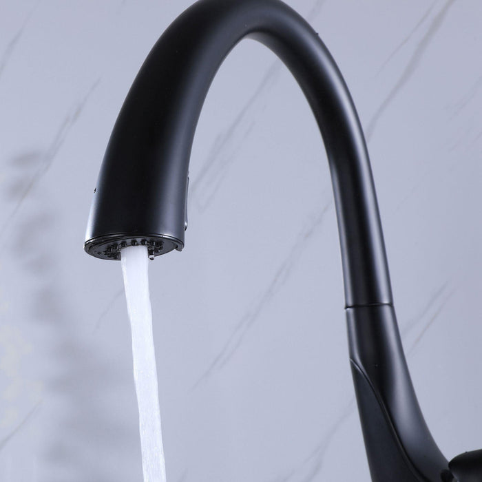 Single Handle Matte Black Kitchen Faucet Single Level Stainless Steel Kitchen Sink Faucets - ParrotUncle