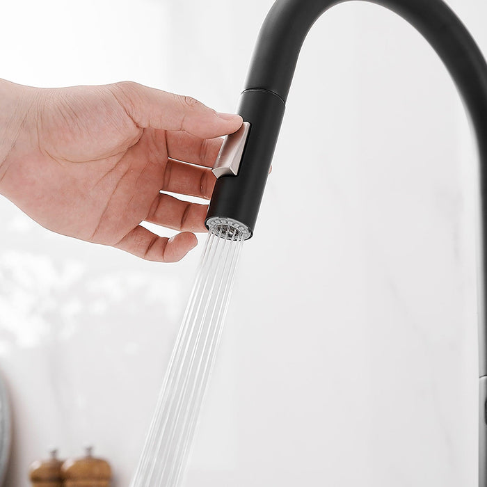 Single-Handle Pull Down Kitchen Faucet - ParrotUncle