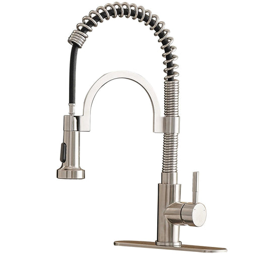 Single-Handle Pull-Down Sprayer 2 Spray High Arc Kitchen Faucet - ParrotUncle