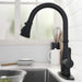 Single-Handle Pull-Down Sprayer 3 Spray High Arc Kitchen Faucet With Deck Plate - ParrotUncle