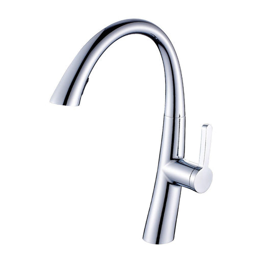 Single Handle Pull Down Sprayer Kitchen Faucet in Chrome - ParrotUncle