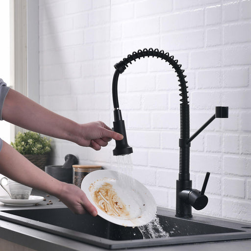 Single Handle Pull Down Sprayer Kitchen Faucet with Spot Resistant in Matte Black - ParrotUncle