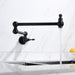 Wall Mounted Pot Filler with Double Handle,Black or Gold - ParrotUncle