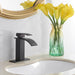 Waterfall Single Hole Single-Handle Low-Arc Bathroom Faucet With Supply Line in Matte Black - ParrotUncle