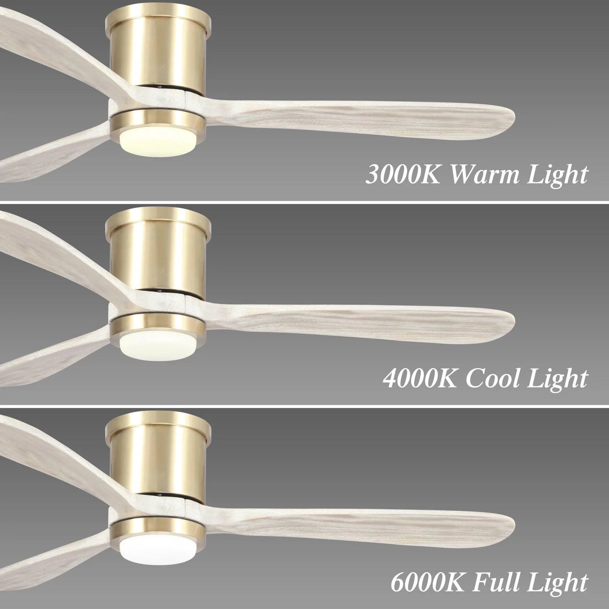 ファイメナ　25th 52