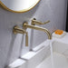 Brushed Gold Round Double Handle Wall Bathroom Faucet - ParrotUncle